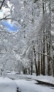 Snow covered road