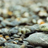 balanced rocks